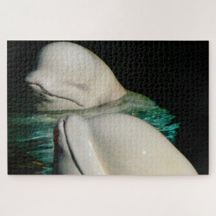 Beluga-Wal Alaska