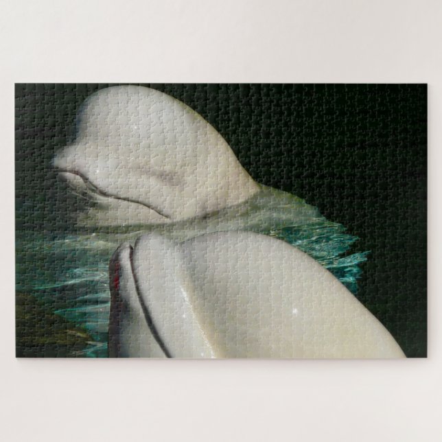 Beluga Whale Alaska (Horizontal)