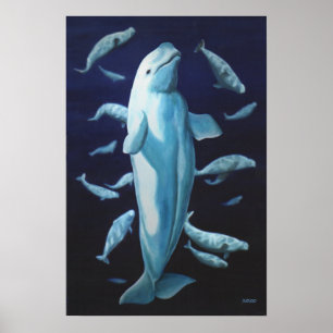 Beluga Whale Art Print Marinelife Whale Malerei Poster