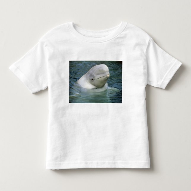 Beluga Whale, Delphinapterus leucas) Kleinkind T-shirt (Vorderseite)