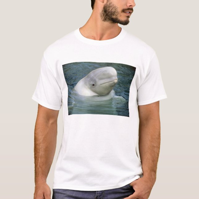 Beluga Whale, Delphinapterus leucas) T-Shirt (Vorderseite)