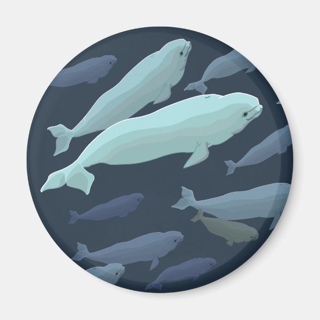 Beluga Whale Fridge Magnet Whale Art Cadfts (Devant)