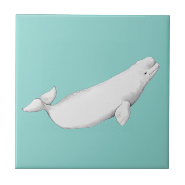 Beluga Whale Illustration Whale Lover Gift Blue Fliese (Vorderseite)