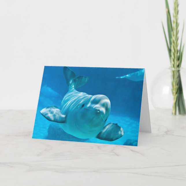 Beluga Whale Karte (Vorderseite)
