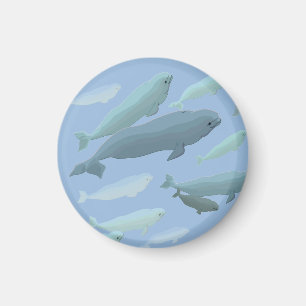 Beluga Whale Kühlschrankmagnet Whale Kunstgewerbe