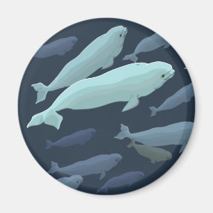 Beluga Whale Kühlschrankmagnet Whale Kunstgewerbe