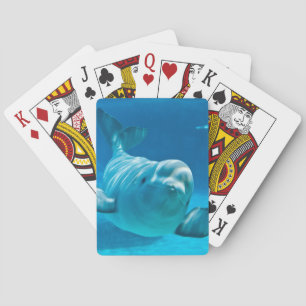 Beluga Whale Spielkarten