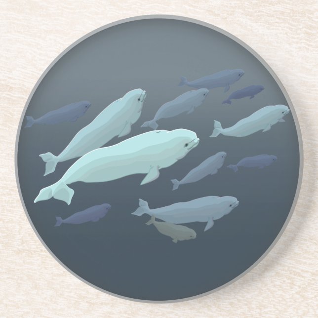 Beluga Whale Untersetzer Whale Art Drink Untersetz (Vorne)