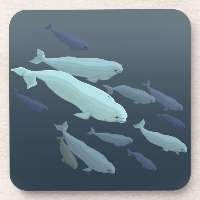 Beluga Whale Untersetzer Whale Art Drink Untersetz (Vorderseite)