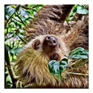 bemalt Sloth Poster