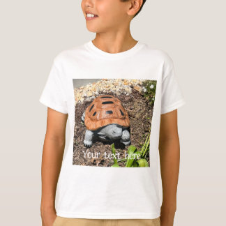 Bemalte Dosenschildkröte, im Garten, individuelle T-Shirt