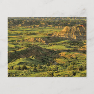 Bemalter Canyon nach dem Sturm in Theodore Rooseve Postkarte