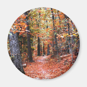 Bemalter Wald Herbstweg Aquarell Geschenke Magnet