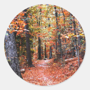 Bemalter Wald Herbstweg Aquarell Geschenke Runder Aufkleber