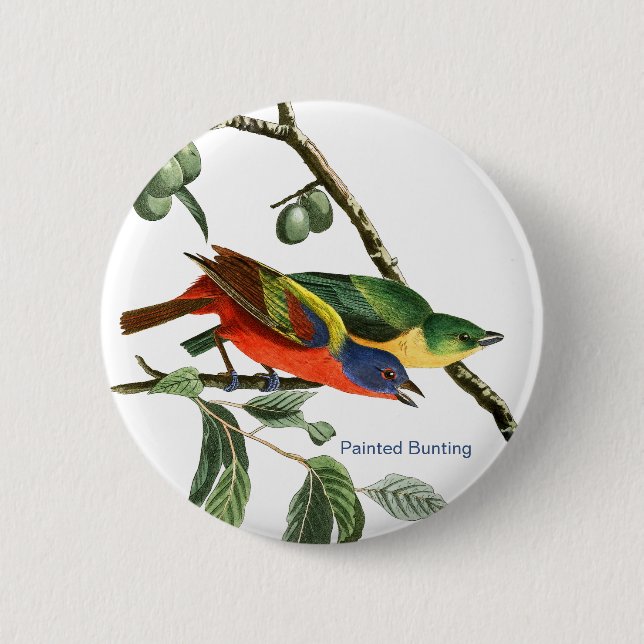 Bemaltes Bejagen, Audubon, Birdwatcher Finch Bird, Button (Vorderseite)