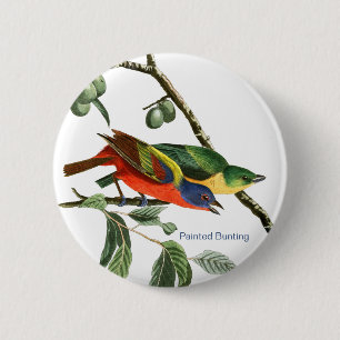Bemaltes Bejagen, Audubon, Birdwatcher Finch Bird, Button