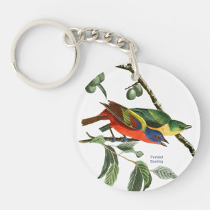 Bemaltes Bejagen, Audubon, Birdwatcher Finch Bird, Schlüsselanhänger