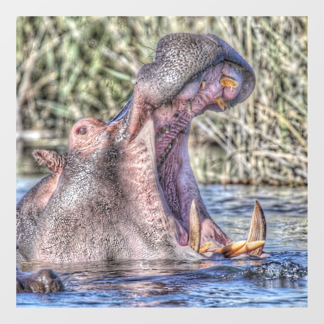 bemaltes Hippo Fensteraufkleber (Blatt)