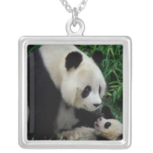 Bemuttern Sie Panda und Baby im Bambusbusch, Versilberte Kette