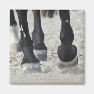 benalamadena Costa, Màlaga, Costa del Sol, 2 Magnet