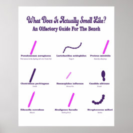 Bench Olfactory Guide Poster