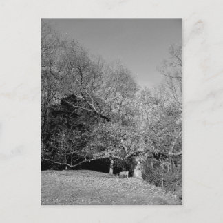 Bench unter Tree Postkarten