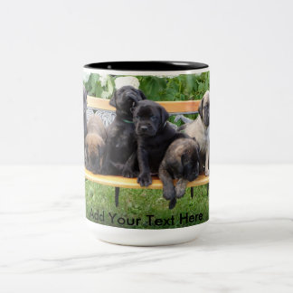Benched Welpen Zweifarbige Tasse