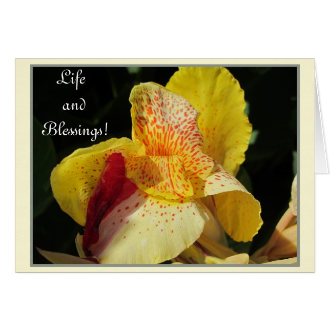 Bénédiction de la vie ! (Devant horizontal)