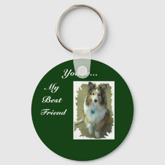 Benennen Sie Ihren Schlüsselanhänger Pet Key Chain