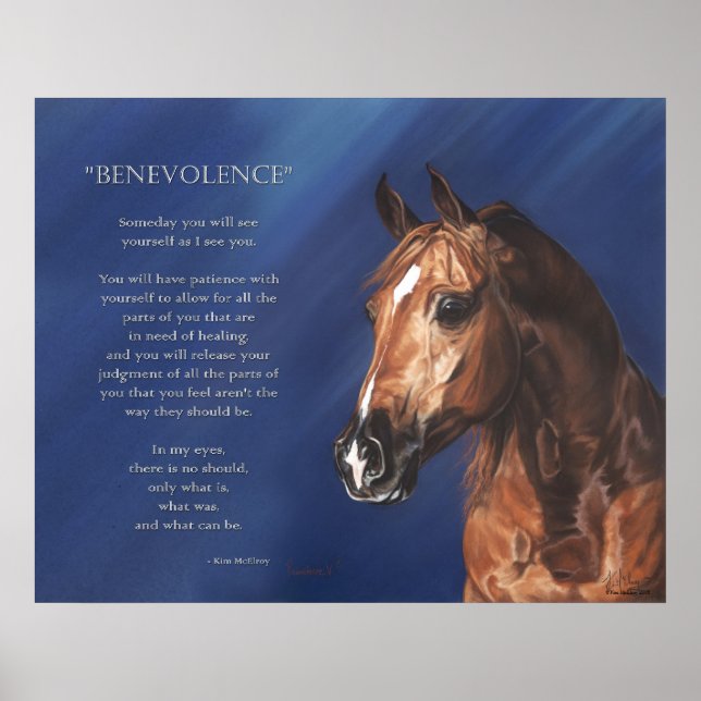 Benevolence, Kim McElroy 2008 Poster (Vorne)