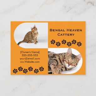 Bengal Katzenzucht Visitenkarte Benutzerdefinier