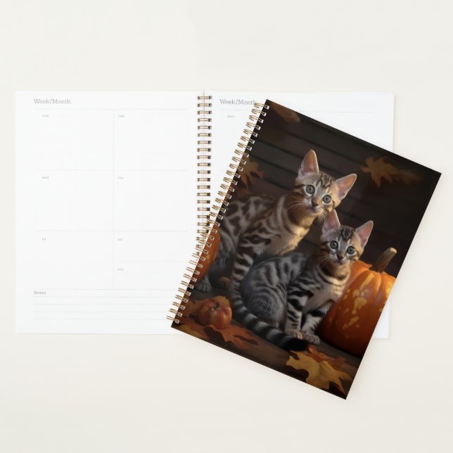 Bengal Kitten Automne Citrouille de plaisir (Devant avec enveloppe)