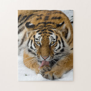 Bengal Tiger 252-Teile-Puzzle