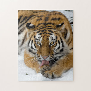 Bengal Tiger 252-Teile-Puzzle