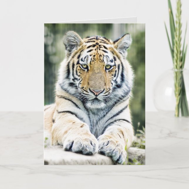 BENGAL TIGER ART ANNIVERSAIRE CARTES DE SALUT (Devant)