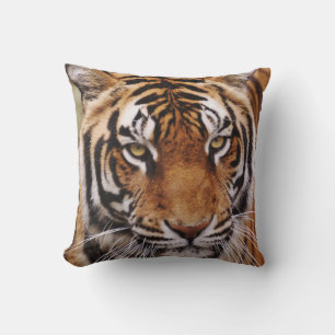 Bengal Tiger, Panthera tigris Kissen