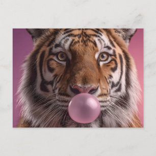 Bengal-Tiger-Porträt bläst rosa Kaugummi Postkarte