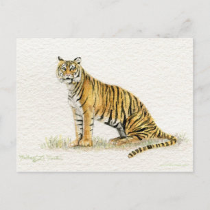 Bengal Tiger Postcard Postkarte