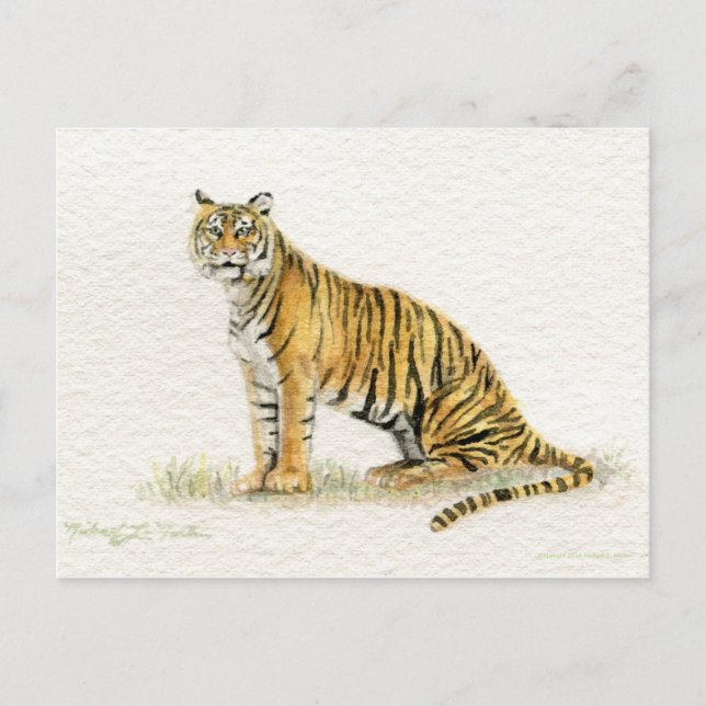 Bengal Tiger Postcard Postkarte (Vorderseite)