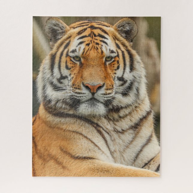 BENGAL-TIGER-PUZZEL (Vertikal)