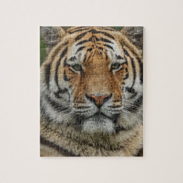 Bengal-Tiger-Puzzle (Vertikal)