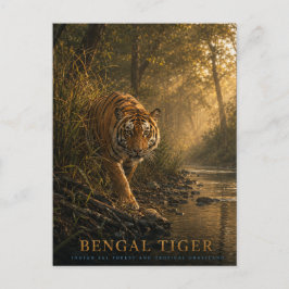 Bengal Tiger Sal Wald TIERE Postkarte