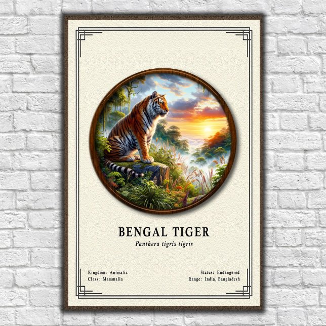 Bengal Tiger Zoologie-Serie Poster (Von Creator hochgeladen)