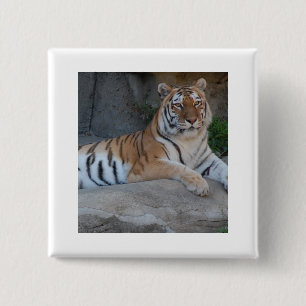 Bengal Tigers Button