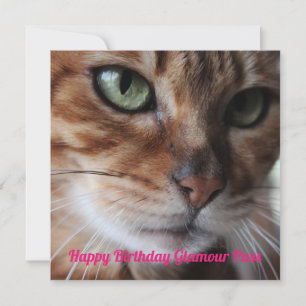 Bengale Photo de chat Carte Anniversaire