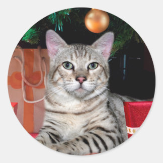 Bengalisch Chat Weihnachten Runder Aufkleber