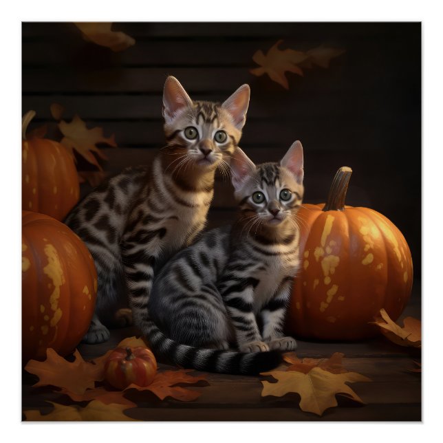 Bengalisch Kitten Autumn Delight Pumpkin Poster (Vorderseite)