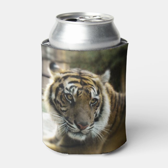Bengalisch Tiger Dosenkühler (Kanne Vorderseite)
