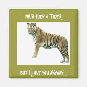 Bengalisch Tiger Magnet