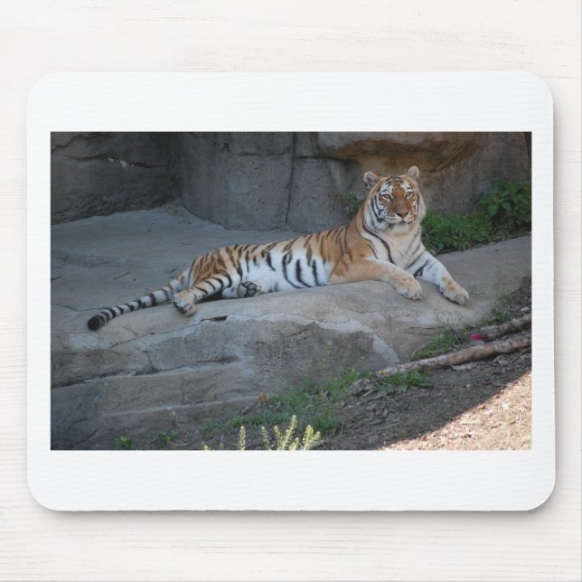 Bengalisch Tiger Mousepad (Vorne)